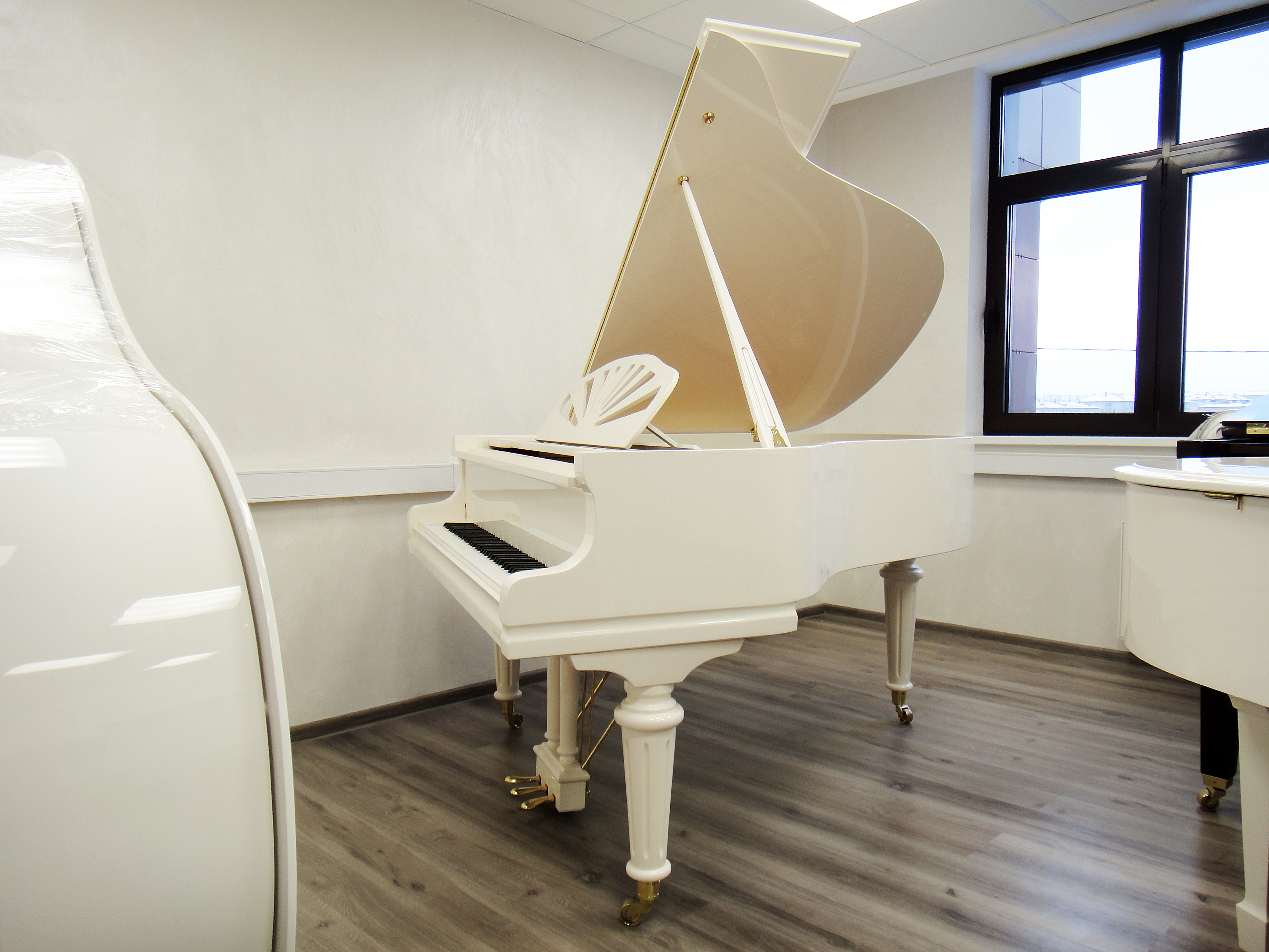 Элитный August Förster 170