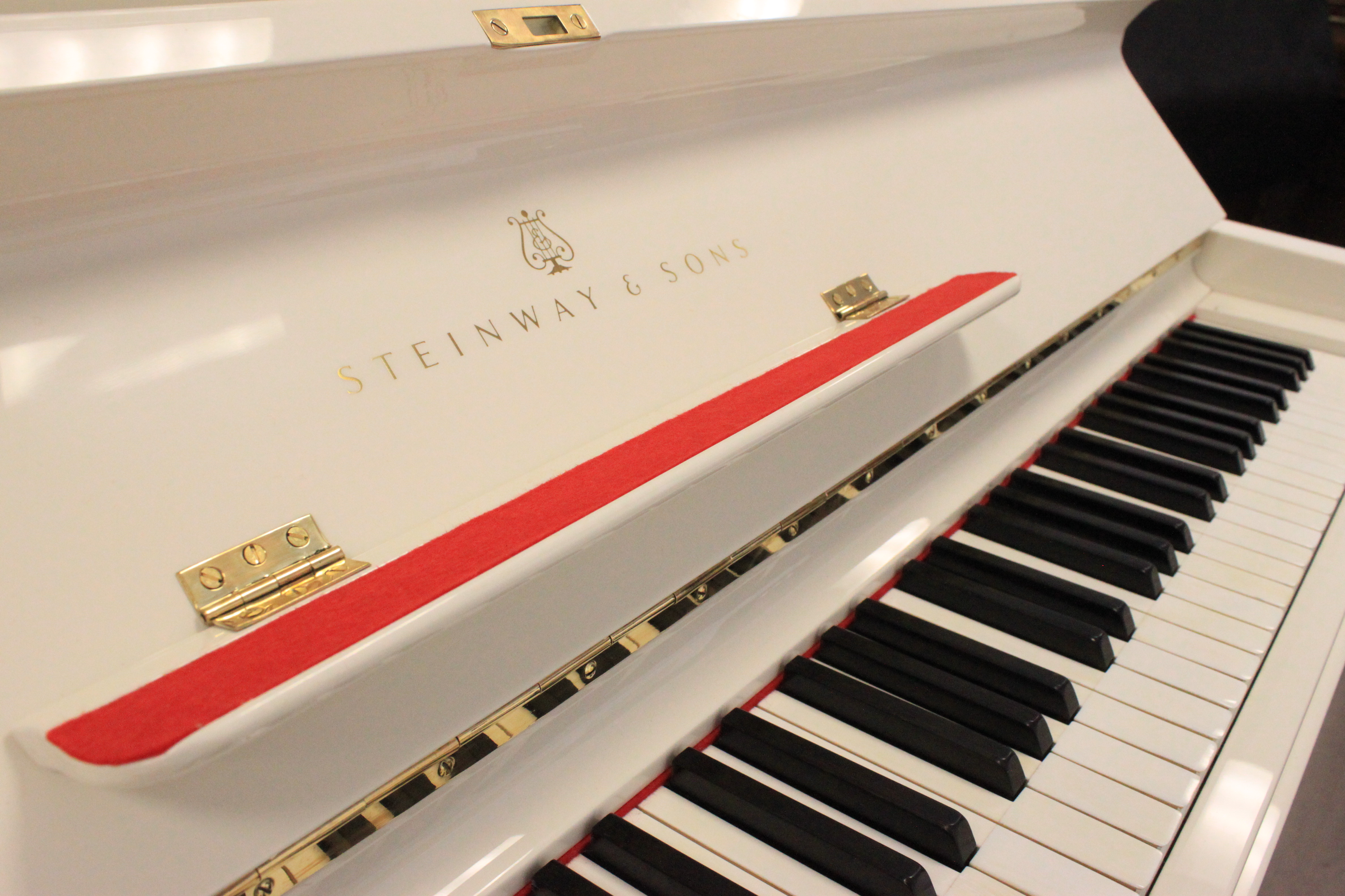 Вид спереди