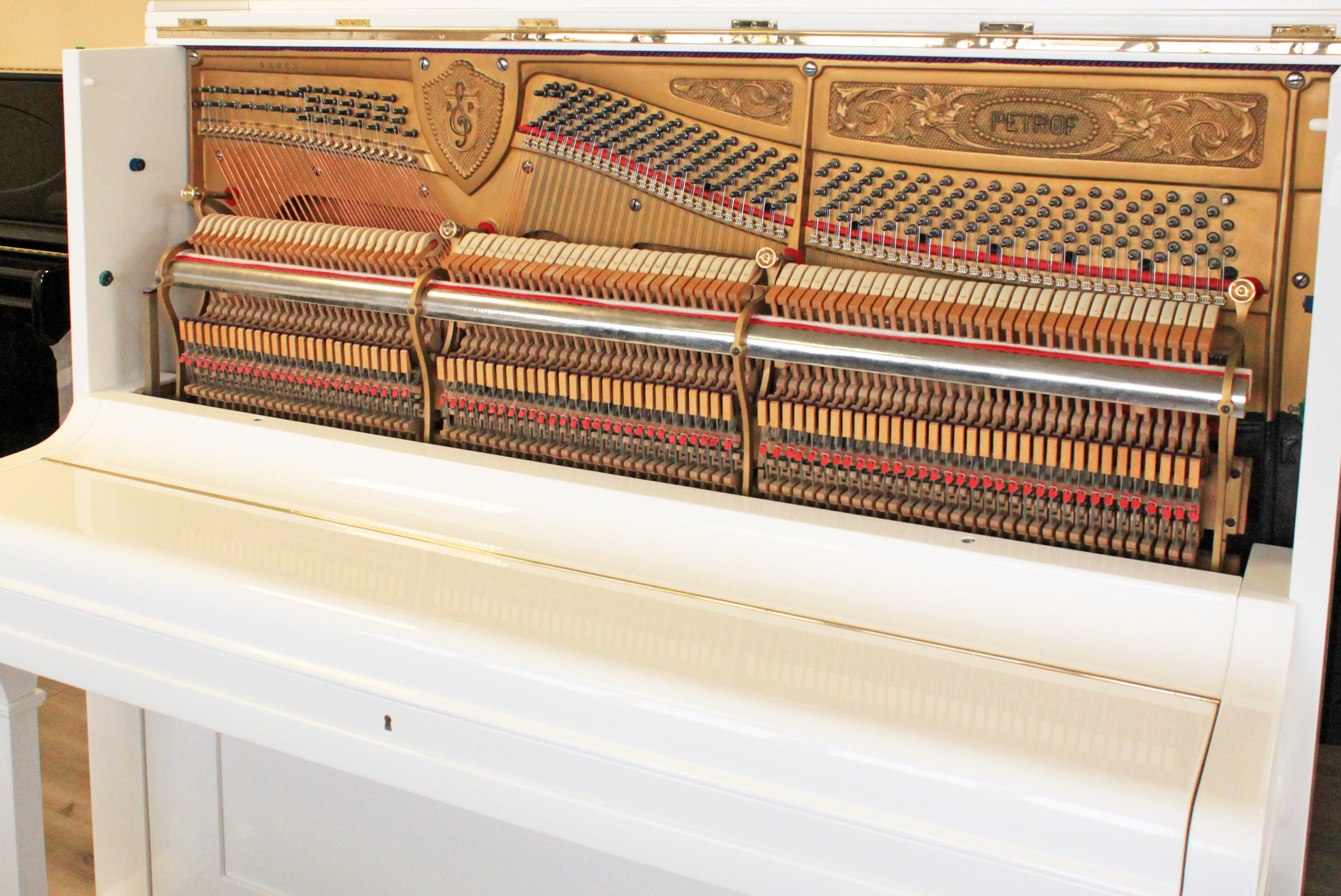 Механизм Петроф