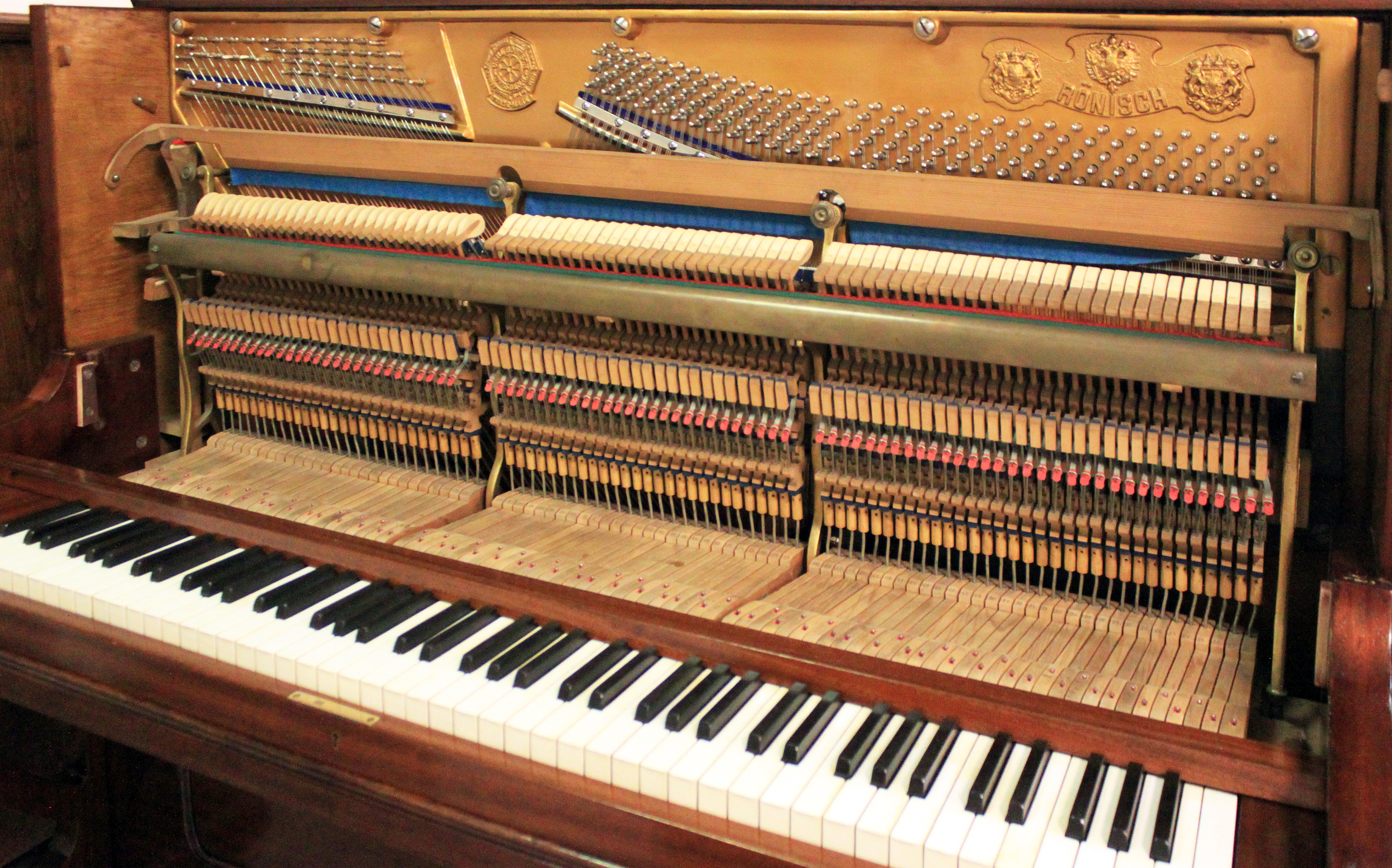 Карл Рёниш, Дрезден