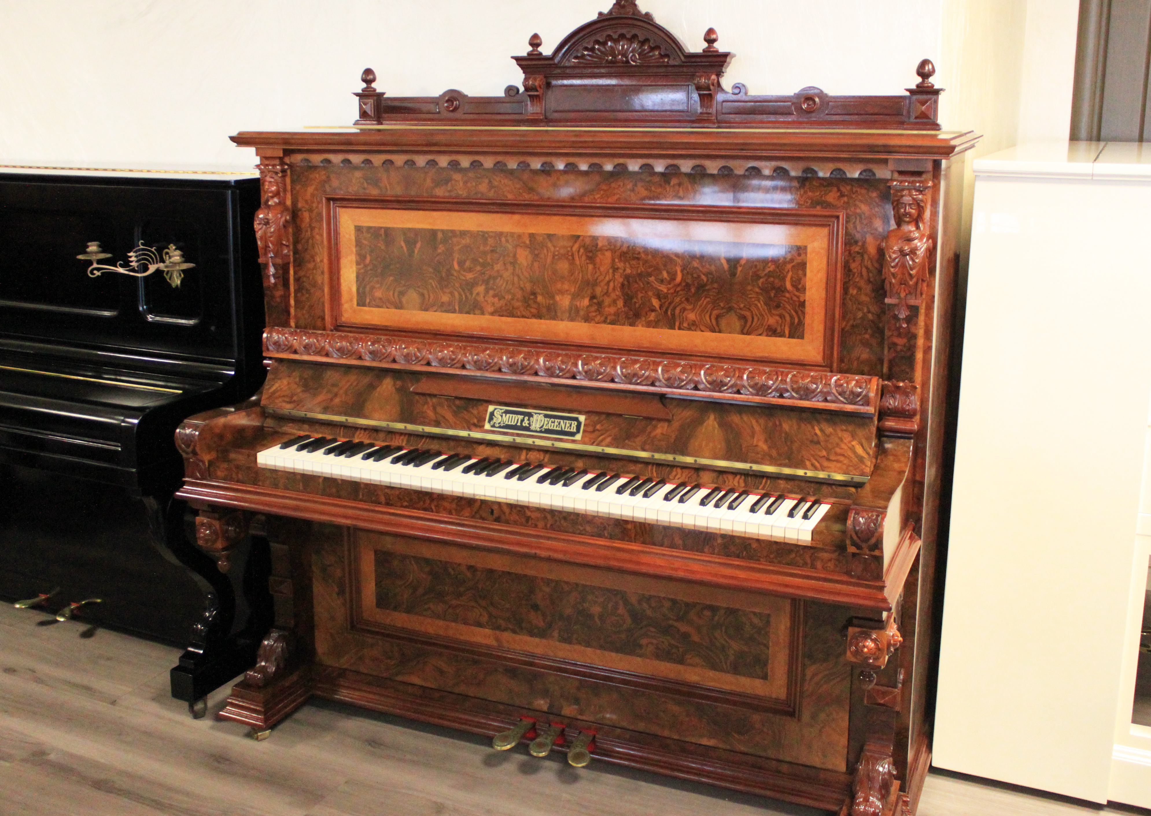 Породы дерева