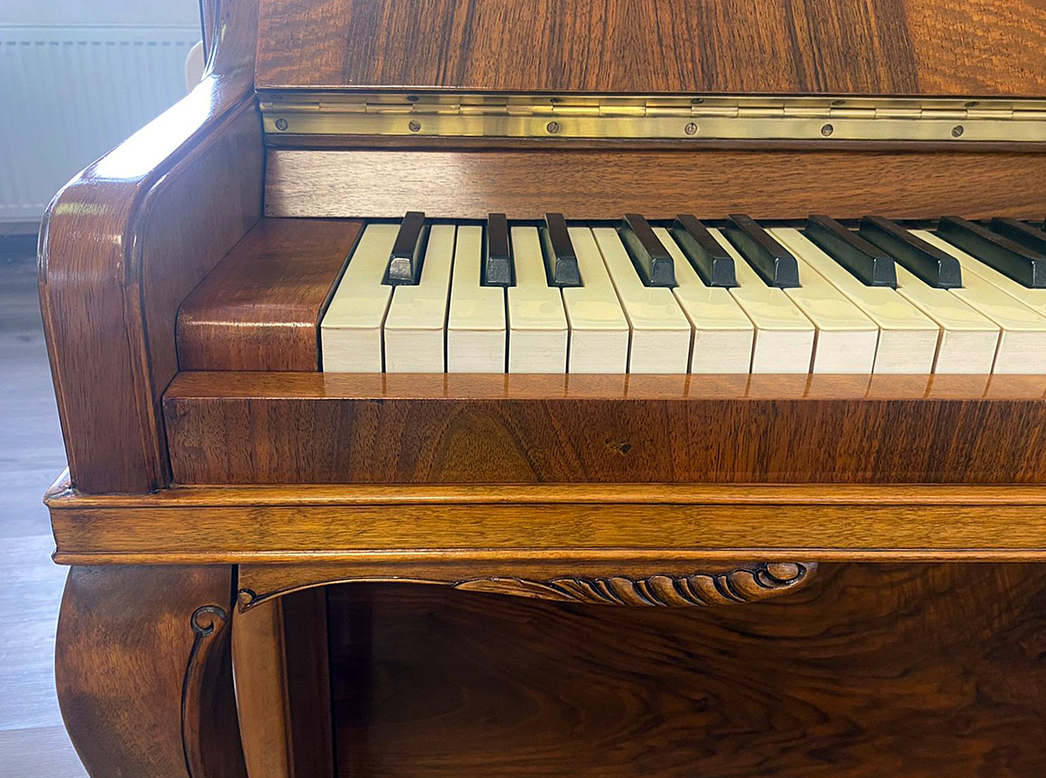 Фрагмент дизайна