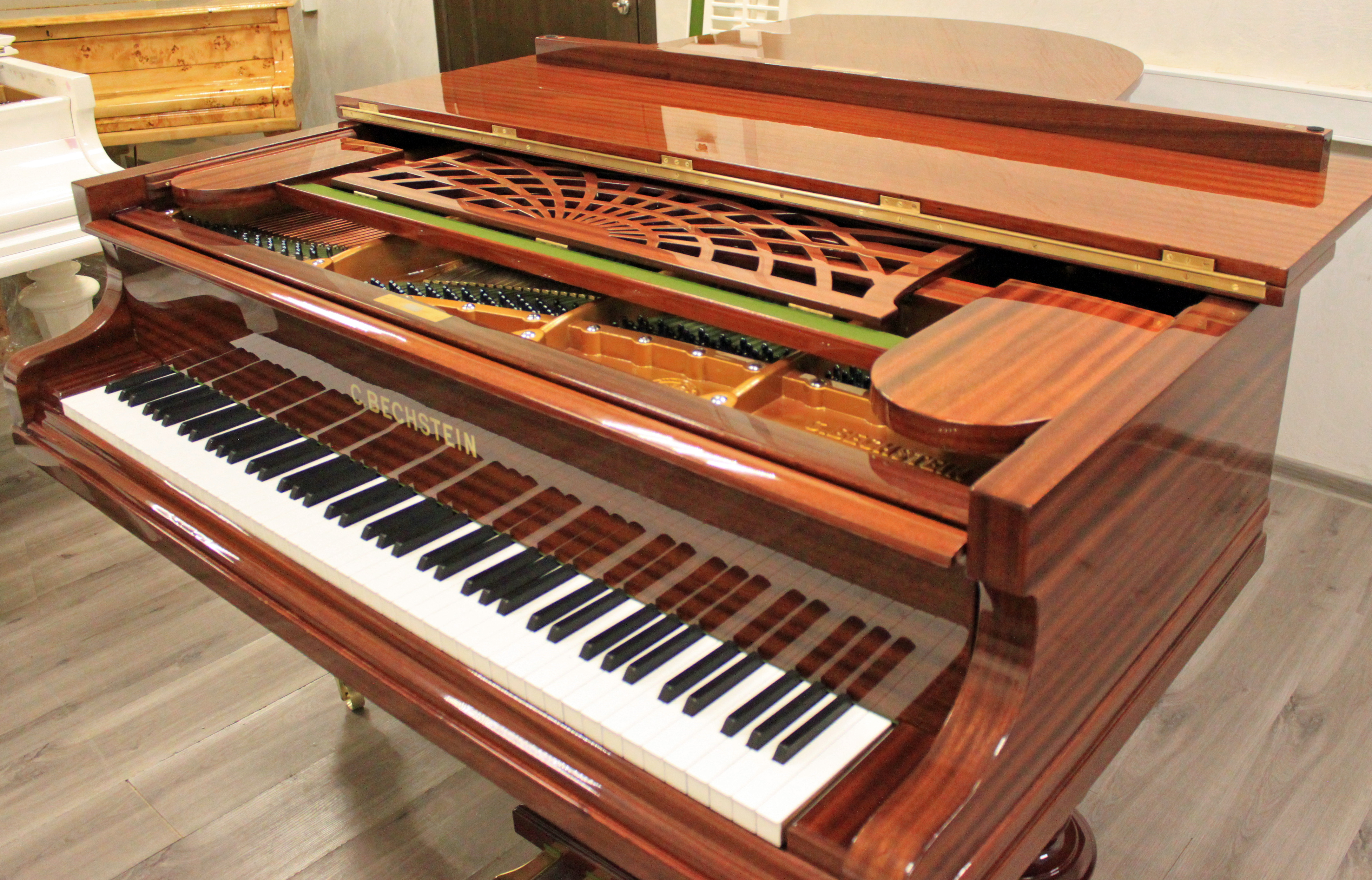 Берлинский К. Бехштейн