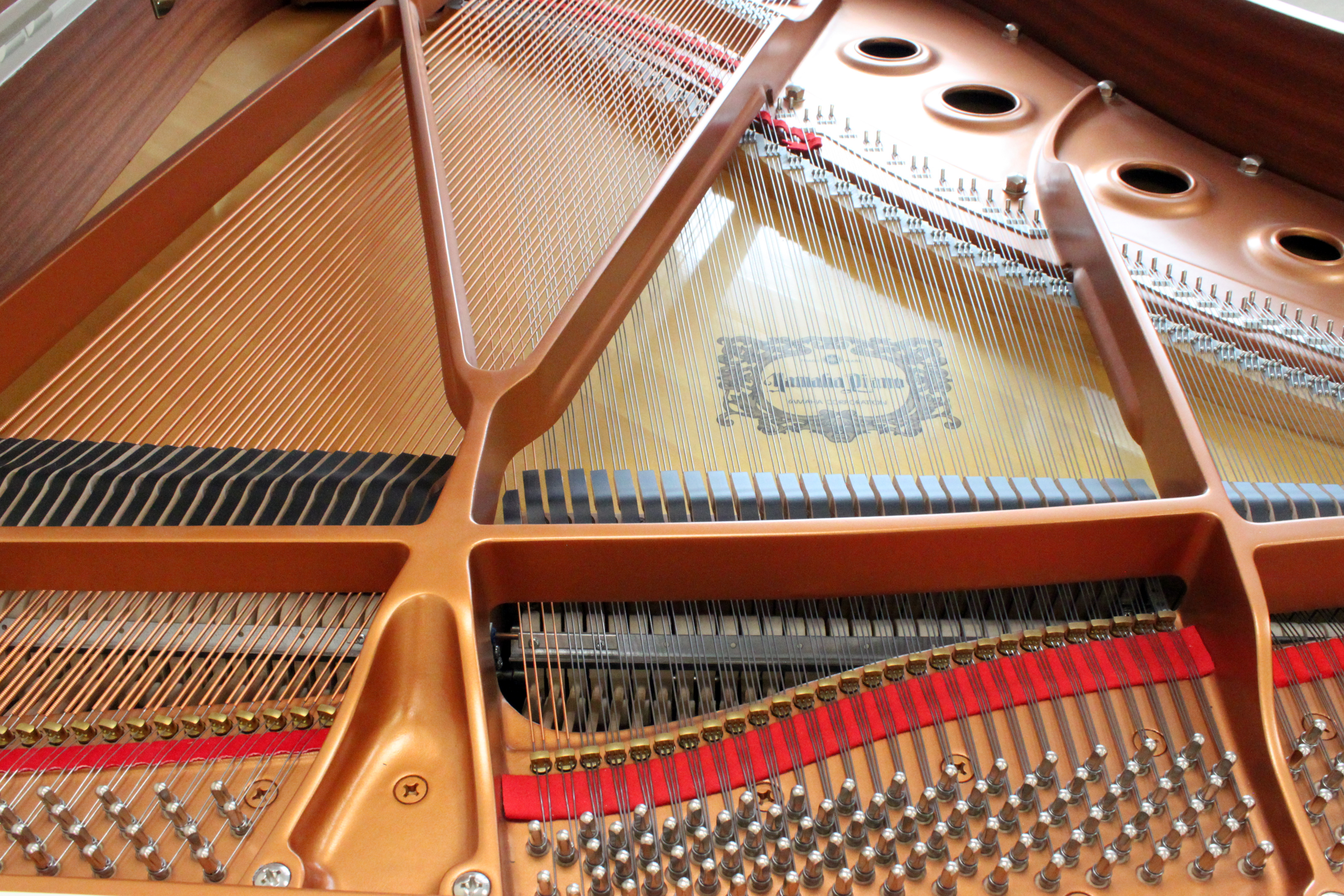 Клеймо, дека, рама, струны