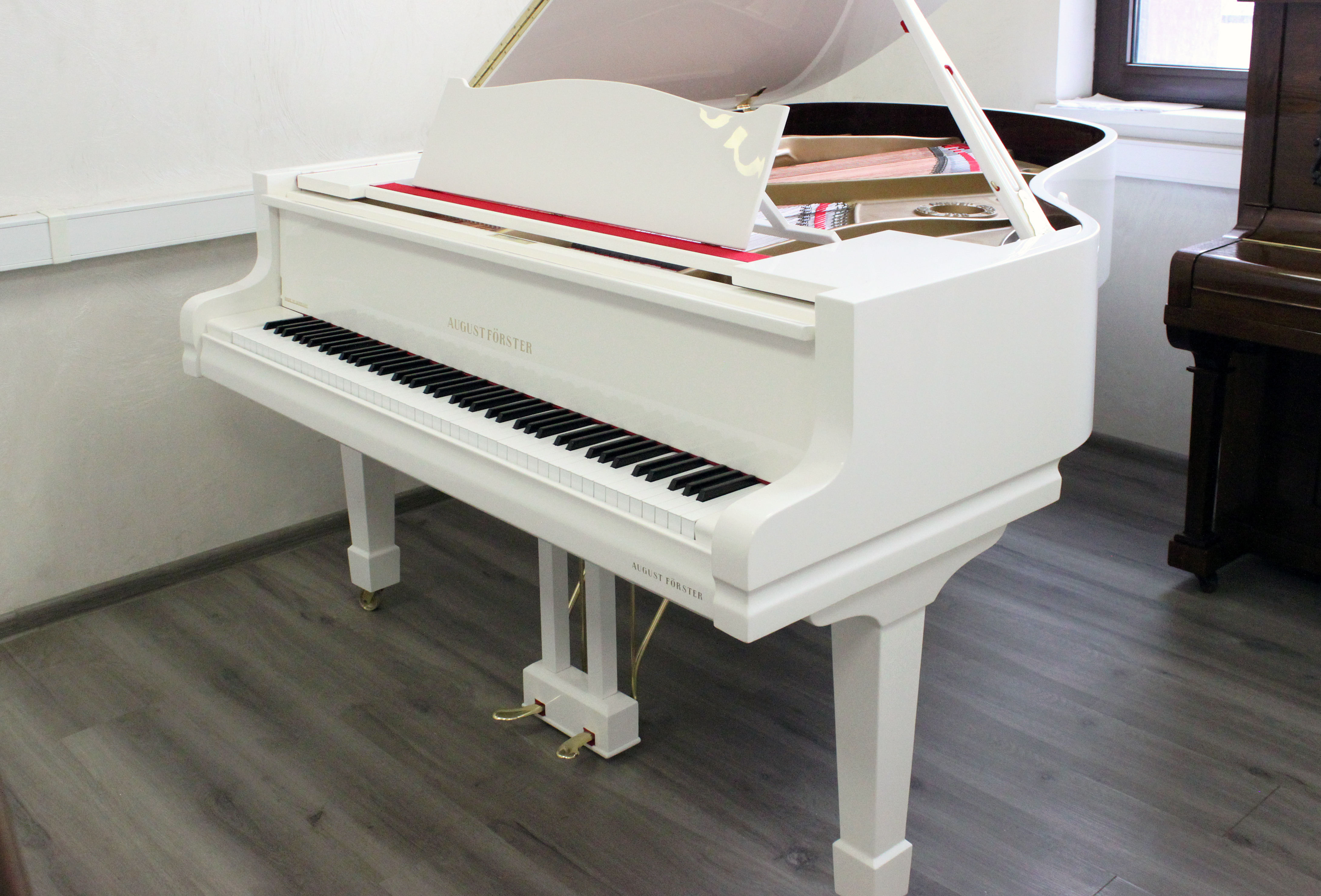 Аугуст Фёрстер, Германия