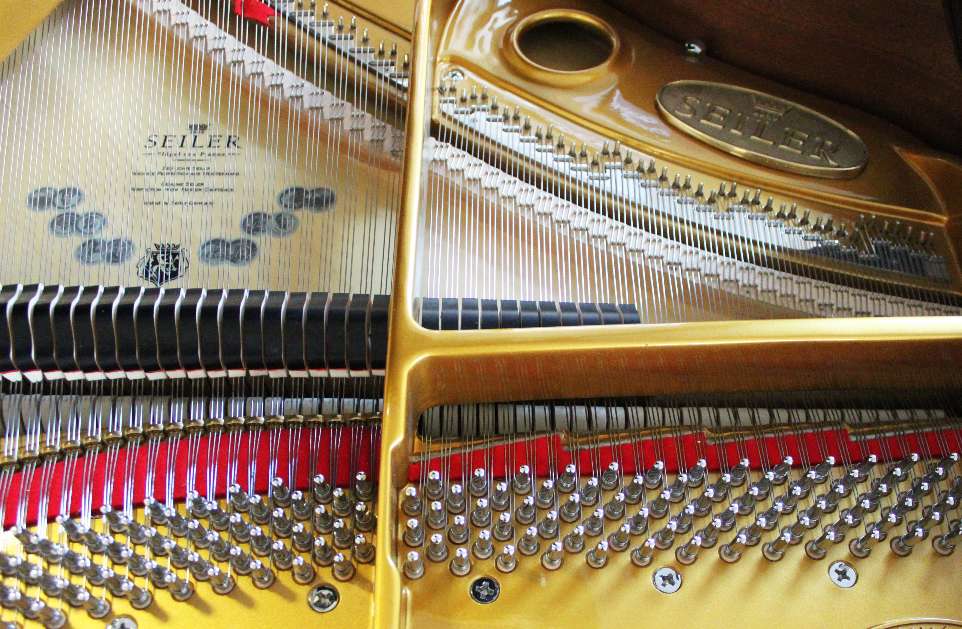 Рама, струны, дека