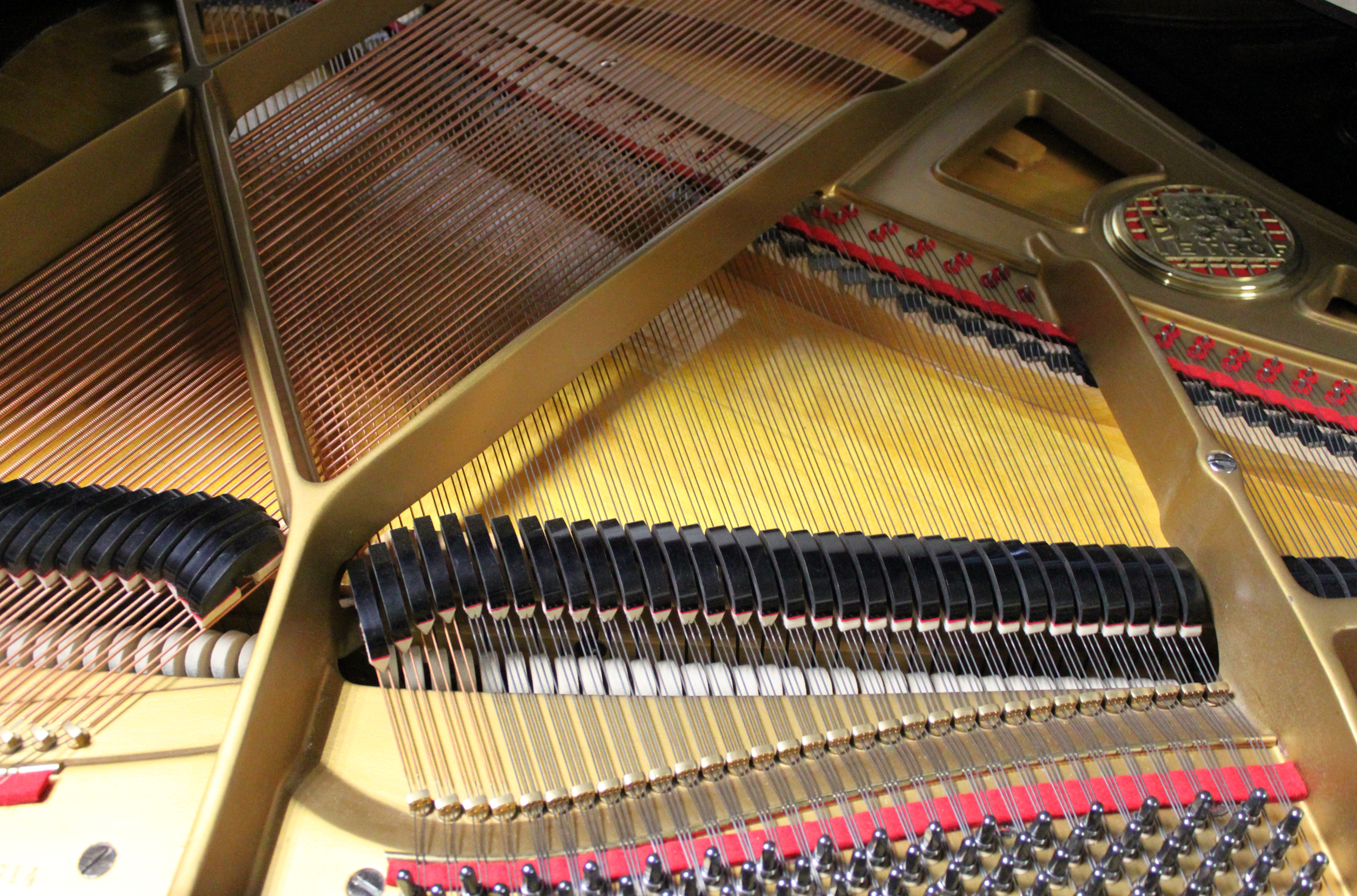 Рама, дека, струны