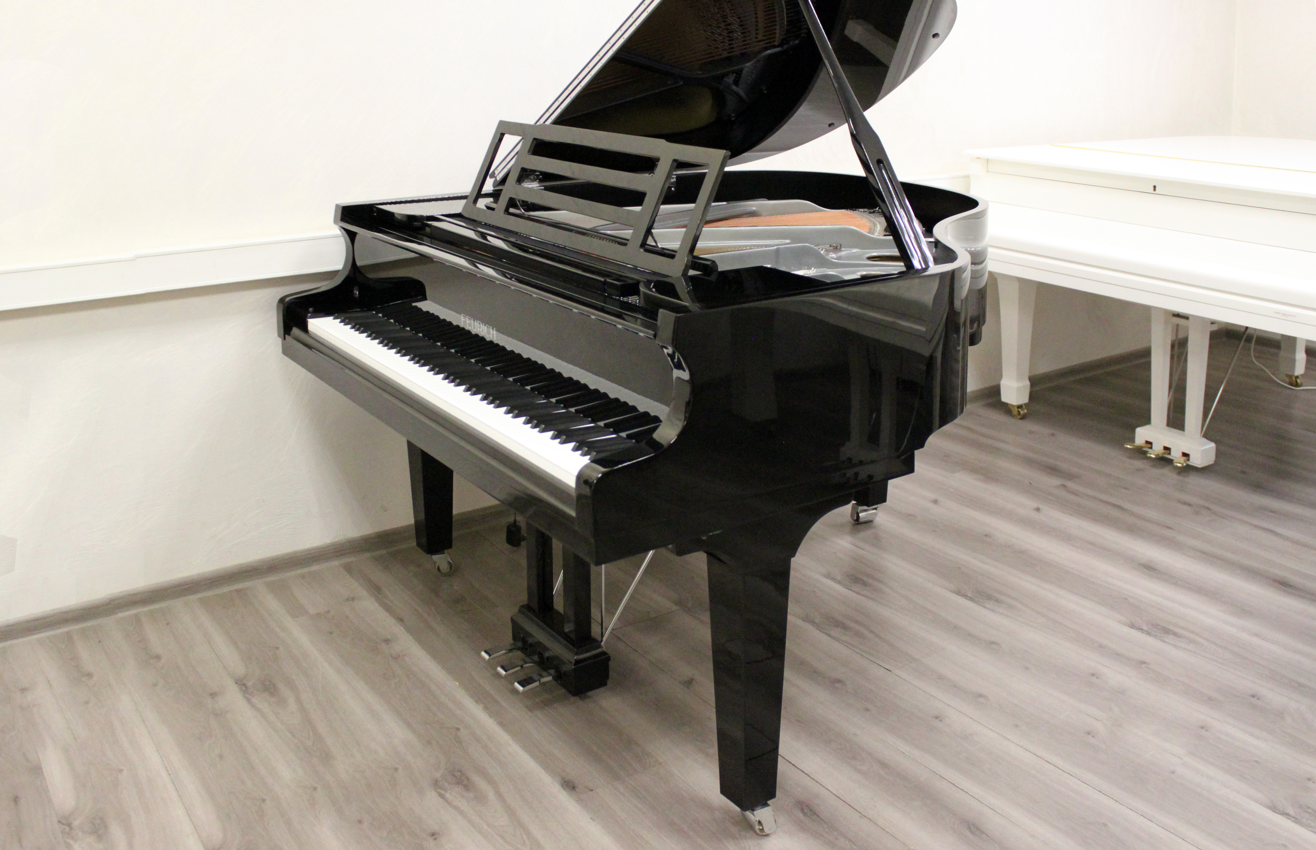 Черный рояль Feurich