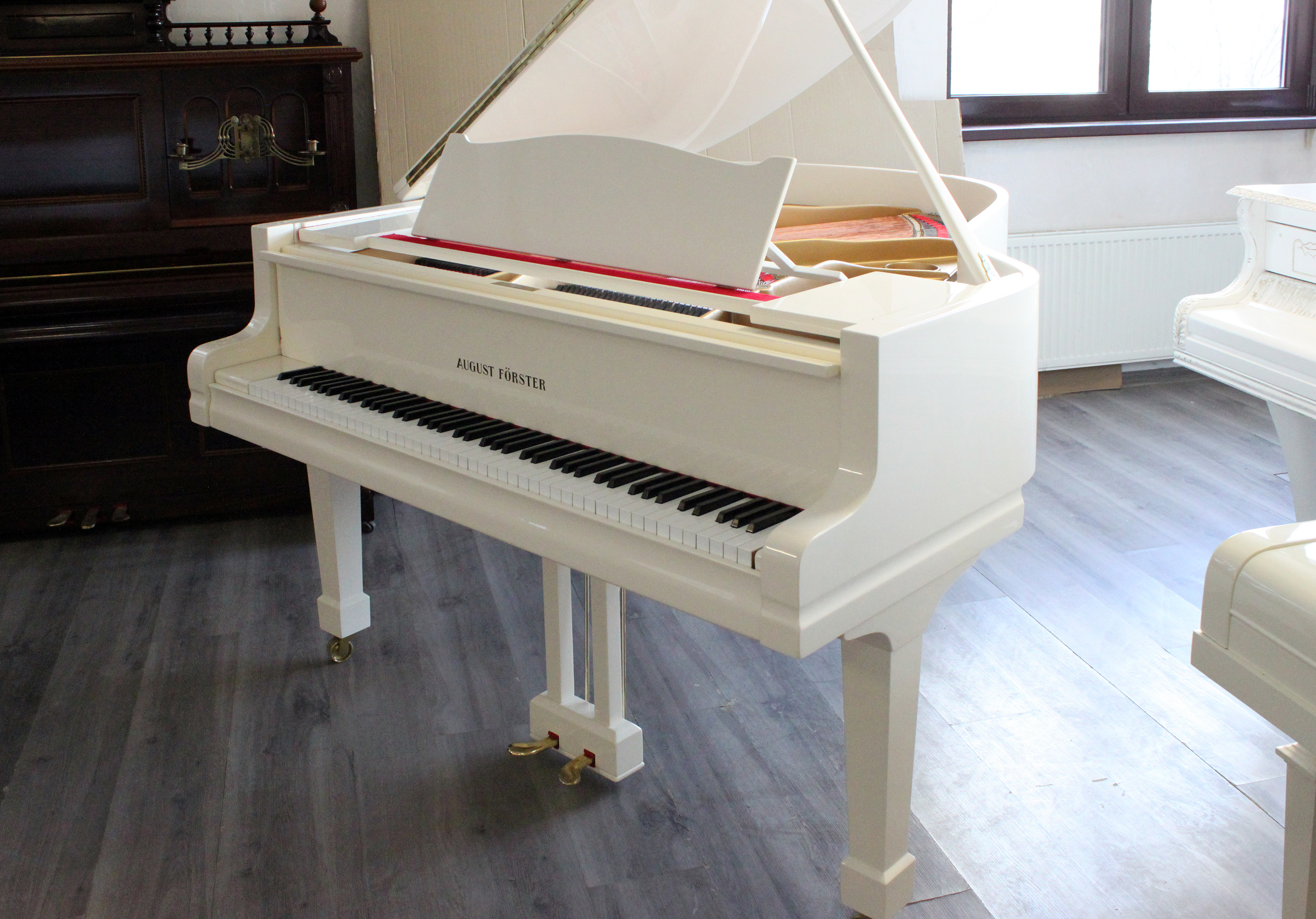 Аугуст Фёрстер, Германия