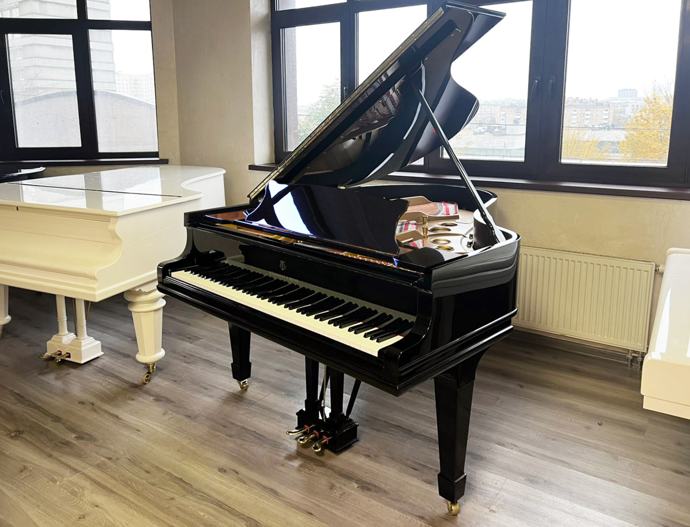 Черный Steinway & Sons O-180
