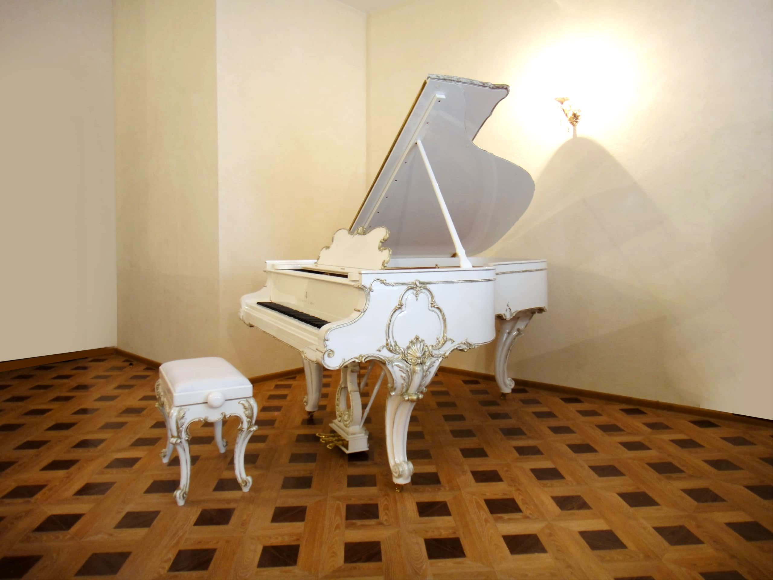 Роскошный Стейнвей-Луи XV